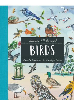 【现货】大自然就在身边鸟类【Nature All Around】Birds英文儿童绘本IP系列Pamela Hickman精装Kids Can Press进口原版书9781771