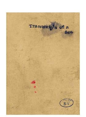 【预售】海之笔录Transcripts of a Sea英文摄影集摄影师专辑Stephan Vanfleteren精装Cannibal/Hannibal Publishers进口原版书97