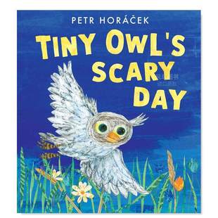 Owl 恐怖日 小猫头鹰 Horácek 现货 原版 进口书籍 Books Tiny Walker 英文儿童绘本 Day Petr Scary 图书外版