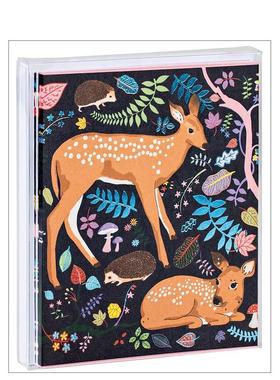 【预售】小鹿问候卡Fawns Notecard Set英文文创卡牌teNeues盒装teNeues进口原版书9781623257361