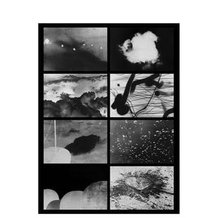 Erickson平装 Loops英文摄影集摄影师专辑Kalev OODA循环OODA 9783911604017 预售