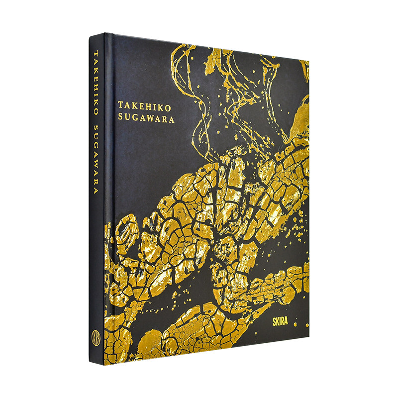 【现货】菅原壮彦融贯和风Takehiko Sugawara英文艺术家艺术工作室Nobuo Tsuji， Koichiro NojiSkira Editore平装进口原版书97888
