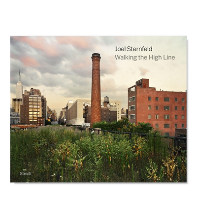 乔尔·斯坦菲尔德：行走于高