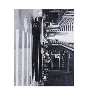 Trockel英文艺术家艺术工作室Rosemarie 罗丝玛丽特罗克尔Rosemarie Trockel平装 Walther Verlag9783753307237 Konig 预售