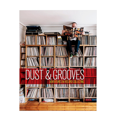 尘埃与凹槽：唱片收集英文原版