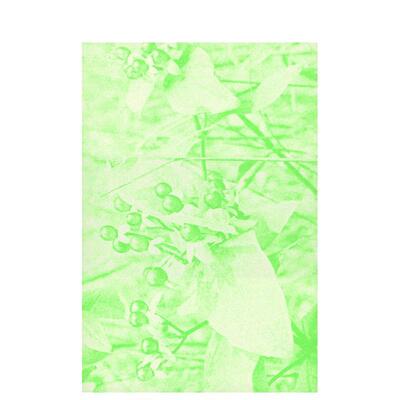 【现货】卢克.里你在寻找什么Luke Le – What are you looking for?英文摄影集摄影师专辑Justine Ellis简装Perimeter Editions进