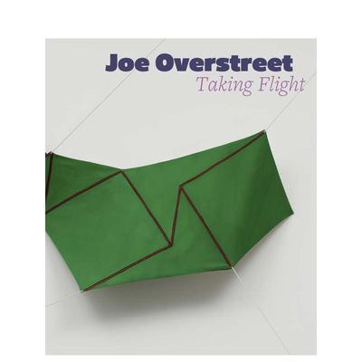 【预售】乔奥弗斯特里特振翅翱翔Joe Overstreet Taking Flight英文艺术家工作室精装进口原版书NatalieDupecherYaleUniversityPr