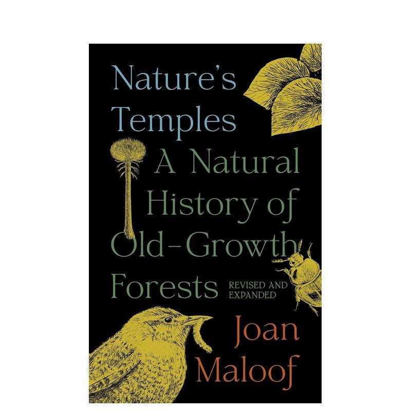 自然的庙宇：古老森林的自然史修