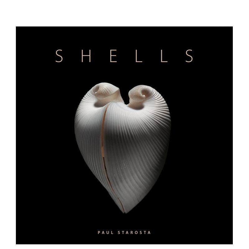 【现货】贝壳Shells英文社会科学Paul Starosta精装Five Continents Editions进口原版书9791254600825