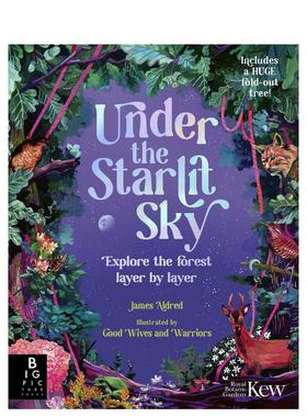 【预售】星空下的森林层层探索生命之境Under the Starlit Sky英文儿童绘本动物生态环保James AldredBig Picture Press精装6-9岁