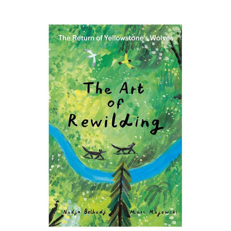 再野化的艺术：黄石公园狼群的回