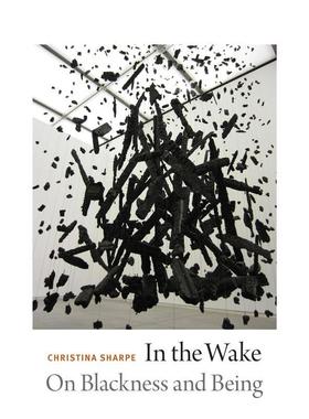 【现货】在苏醒关于黑暗和存在In the Wake英文社会科学Christina Sharpe精装Duke University Press进口原版书9780822362944