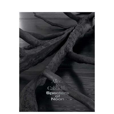 【预售】阿罗拉 & 卡尔萨迪拉 正午幽灵Allora & Calzadilla Specters of Noon英文艺术总论历史理论评论Michelle WhiteYale Univ
