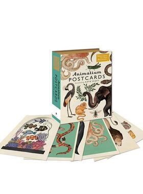 【预售】【欢迎来到博物馆】动物园明信片Animalium Postcards英文文创明信片Katie ScottBonnier Books进口原版书9781783706259