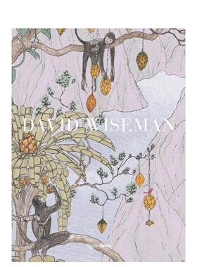 【现货】大卫怀斯曼 美国设计师David Wiseman英文综合设计Mayer Rus精装Rizzoli进口原版书97808478 904