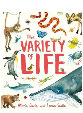 【现货】生命的多样性The Variety of Life英文儿童绘本知识百科Nicola Davies精装Hodder Children books6-9岁进口原版书9781444