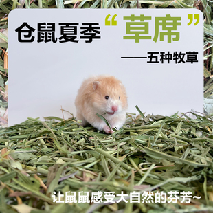 仓鼠金丝熊天然牧草垫料麦草段夏季草席除臭青草香