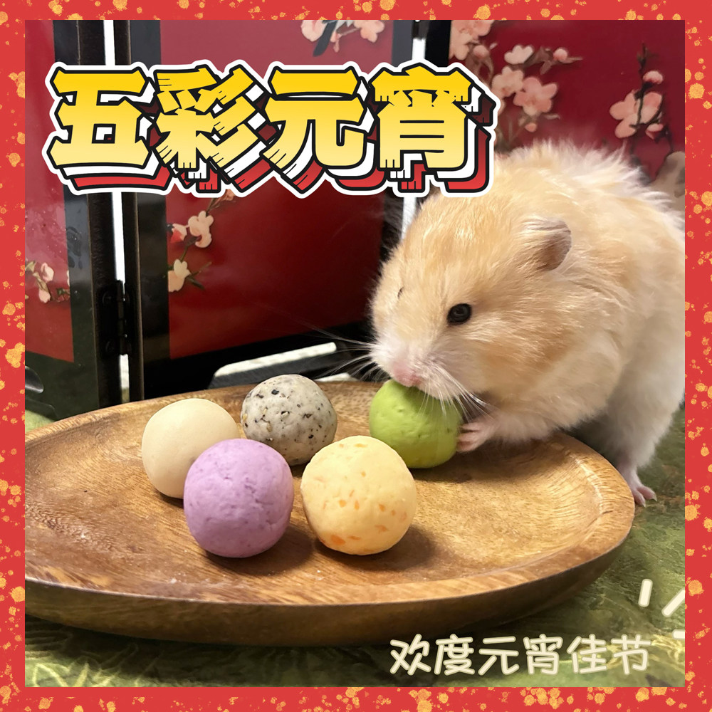 仓鼠金丝熊五彩元宵节汤圆蔬菜黑芝麻口味汤圆过年元宵节日