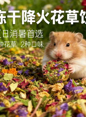 仓鼠金丝熊冻干降火花草饼夏日消火鲜花草冻干豆腐营养花草辅食饼