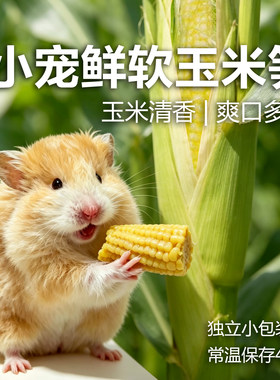 小宠零食鲜玉米笋开袋即食金丝熊仓鼠营养零食