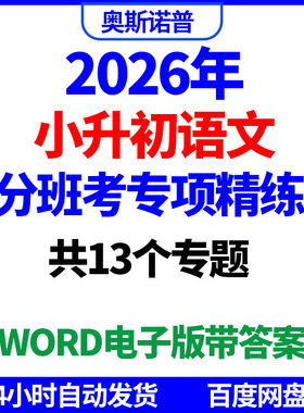 2026年小升初语文分班考专项精练共13个专题word电子版带答案
