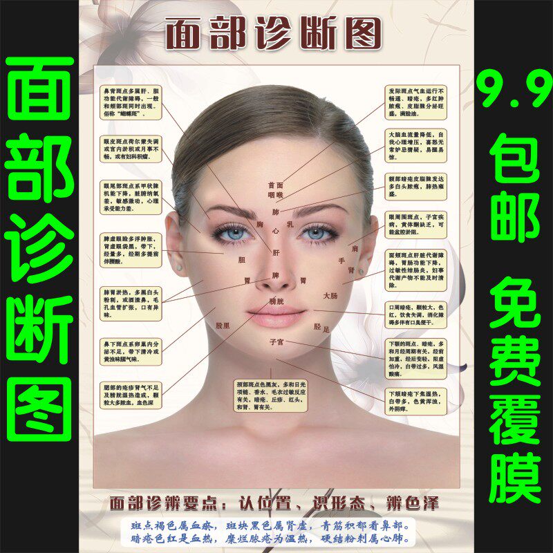 人体面部穴位图经络美容院脸部按摩中医养生图片挂图刮痧面诊海报