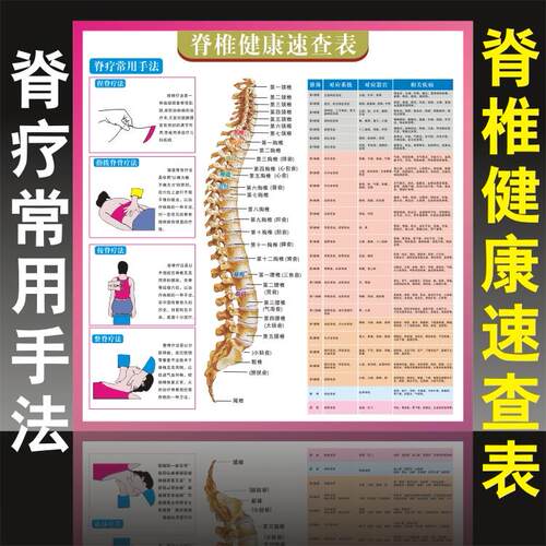 脊柱相关疾病速查表挂图医学院穴位图人体经络解剖穴位图大挂图片