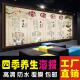 中医四季 饰画挂图宣传画养生海报 养生挂画养生馆背景墙中医养生装