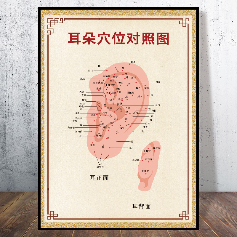 耳穴图谱耳朵穴位对照图经络图挂图解穴位图片耳科理疗宣传画海报