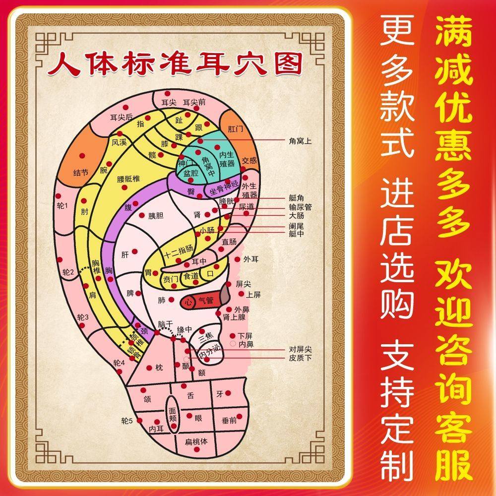 人体标准耳穴图中医养生馆采耳店装饰画耳部耳朵穴位挂图贴纸高清