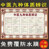 中医九种体质辨别中医养生大挂图装 饰画美容院养生挂画海报图广告