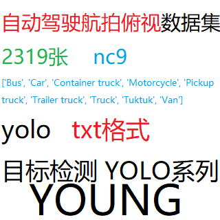 目标检测数据集YOLO自动驾驶航拍俯视2319张YOLO txt格式nc9