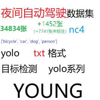 目标检测数据集YOLO夜间自动驾驶34834张数据集YOLO txt格式nc4