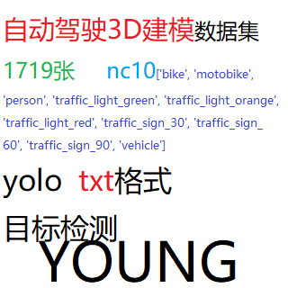 目标检测数据集YOLO自动驾驶3D建模检测1719张数据集YOLOtxtnc10
