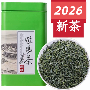 2026新茶陕西紫阳富硒产区绿茶绿茶紫阳茶叶富硒产地绿茶紫阳富硒