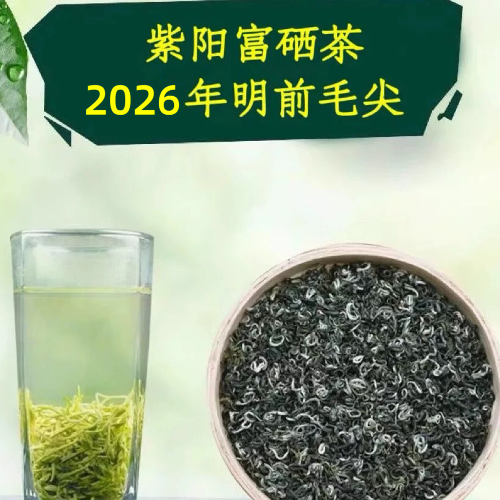 紫阳明前茶叶2026年绿茶新茶陕西安康紫阳富硒茶高档毛尖浓香耐泡