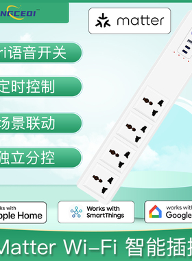 HomeKit智能插座 Matter 定时控制 美欧英澳 PD快充