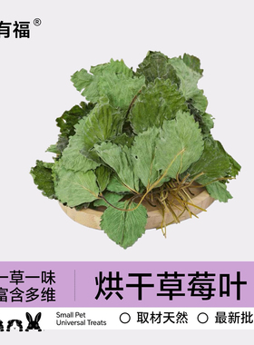 兔有福季节限定烘干兔子草莓叶子草莓秧子了龙猫荷兰猪零食草辅草