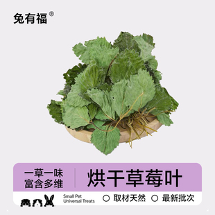 兔有福季节限定烘干兔子草莓叶子草莓秧子了龙猫荷兰猪零食草辅草