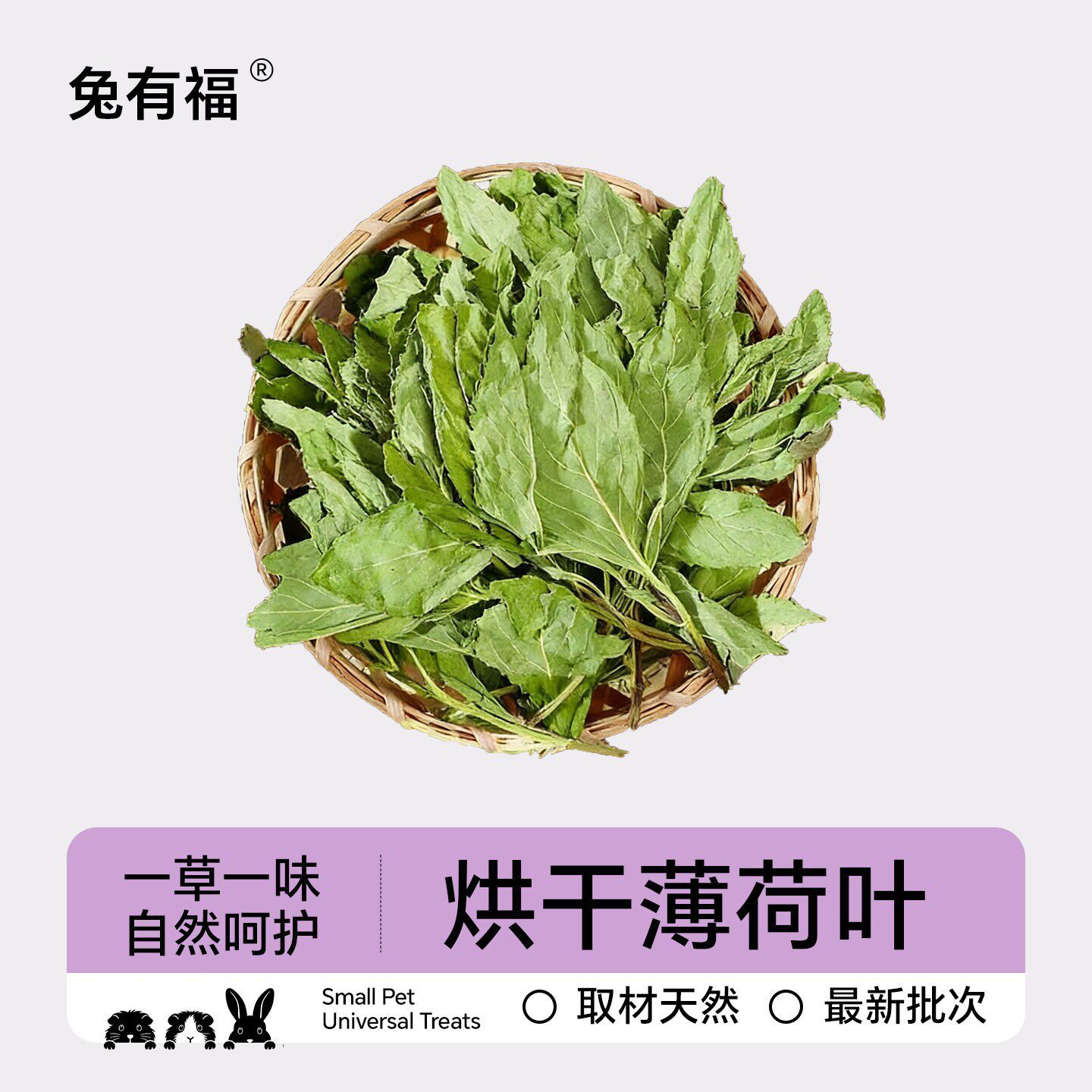 新烘干天然薄荷叶新草龙猫荷兰猪豚鼠兔子草薄荷干草叶牧草零食