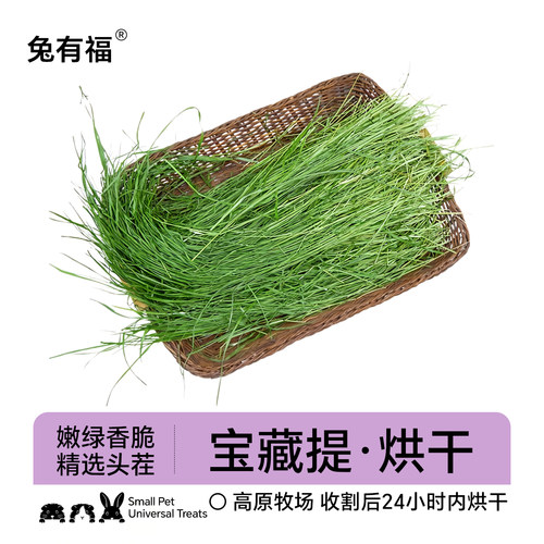 zoho提摩西草烘干兔兔干草主粮
