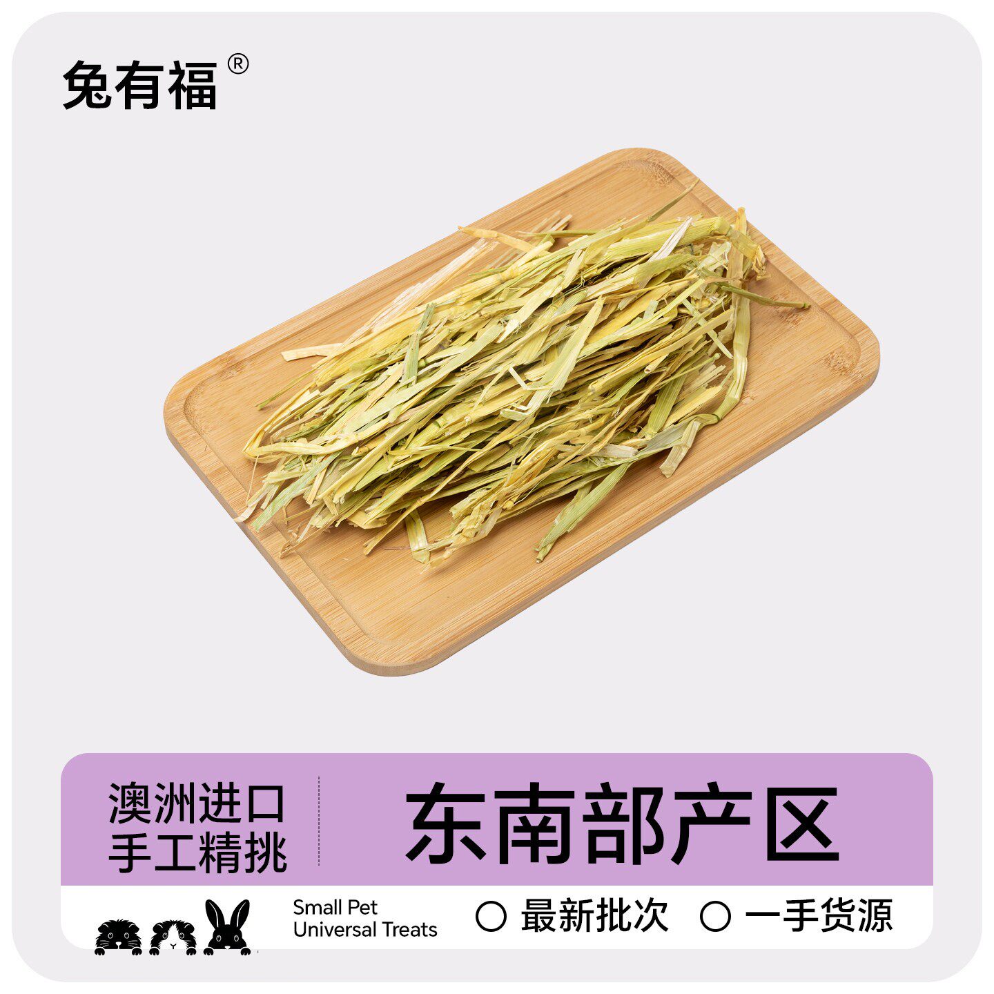 精筛澳洲黄金燕麦草段龙猫荷兰猪豚鼠兔子干草燕麦草青绿澳麦草碎