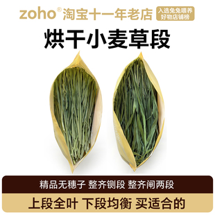 新烘干兔子小麦草兔草整齐闸段小麦苗龙猫荷兰猪吃的干草专用牧草