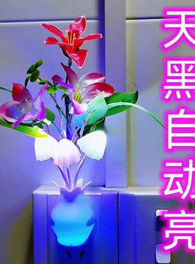 节能夜用插电光控感应七彩变色小夜灯黑暗自动亮卧室床头起夜灯