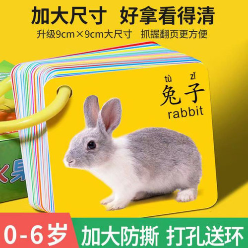 婴儿早教认知卡加厚防撕打孔送环