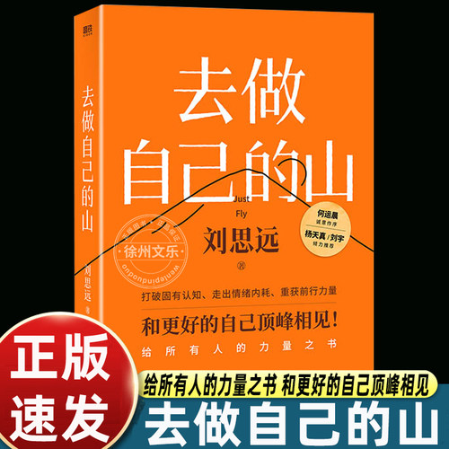 官方正版去做自己的山刘思远著写给所有人的力量之书令人心动的offer女性认知觉醒有底气的人生成长励志书籍V自我驱动