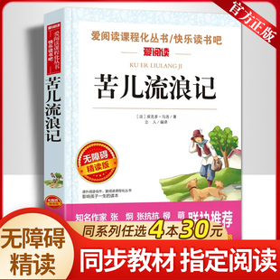 苦儿流浪记埃克多马洛原著正版必小学生课外阅读书籍三年级四五六青少年人民儿童文学教育读物天地出版社注释全集完整版老师推荐
