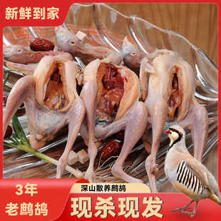 新鲜鸟肉 老鹧鸪鸟现杀 石鸟飞龙肉农家散养鹧鸪土鸡肉生鲜鸟鸡肉