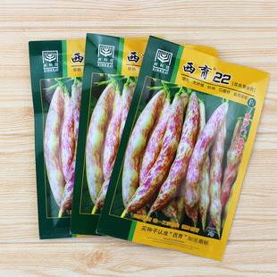 东北黄金勾红金钩豆角架豆王种子沟扁豆春季蔬菜孑高产油豆角种籽