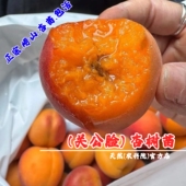 青岛崂山蜜杏关公脸杏苗树苗特大软糯红杏果苗南方北方种植杏子树